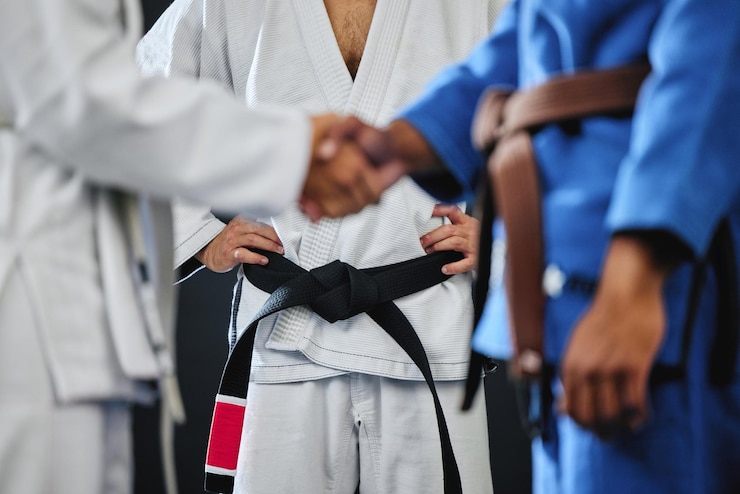 Faixas de jiu jitsu: guia completo de graduação