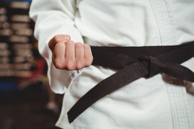 História e evolução do Hapkido: das raízes antigas à prática moderna