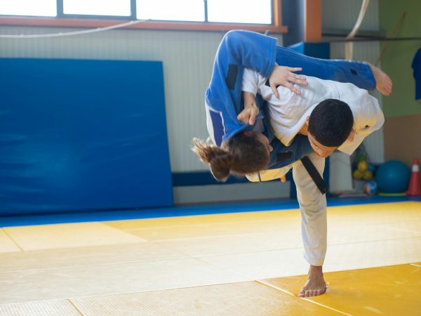 A Cultura Marcial do Hapkido: Explorando as Faixas e o que Representam