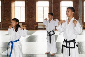 Iniciação nas Artes Marciais: Como escolher o Kimono Infantil Ideal