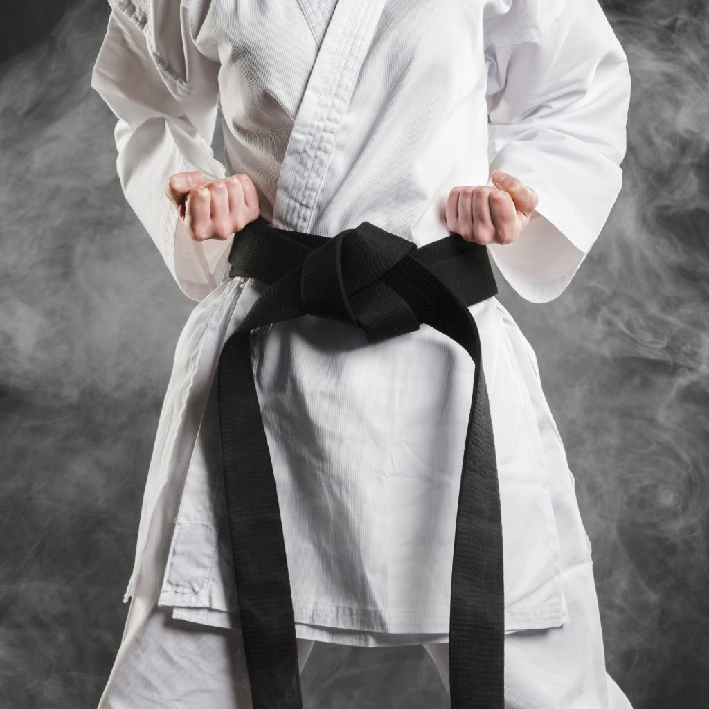 Graduação em Aikido: As Faixas e o Caminho Para a Faixa Preta